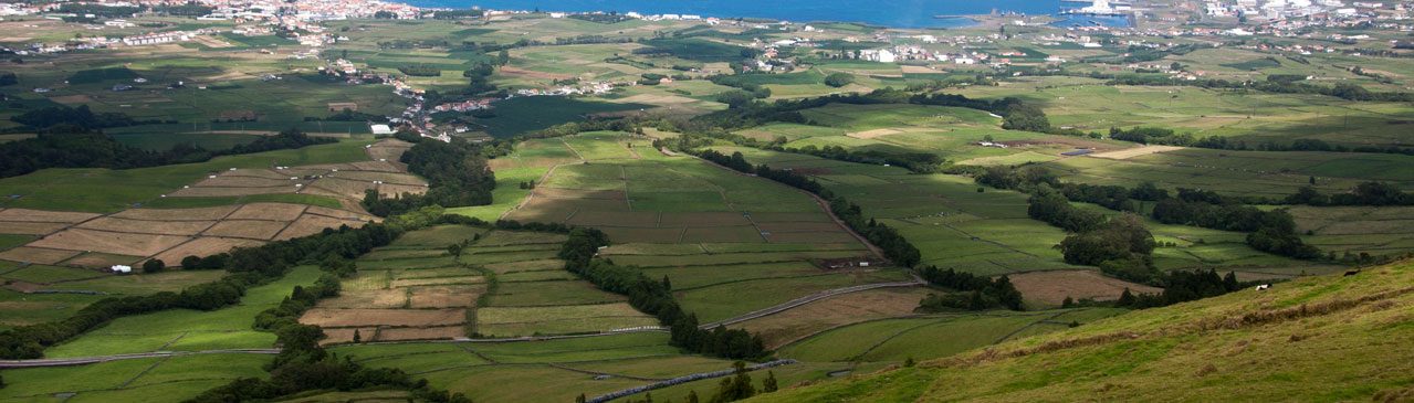 Aerial view of Terceira.
